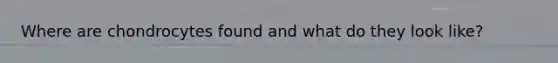 Where are chondrocytes found and what do they look like?