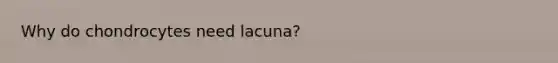 Why do chondrocytes need lacuna?