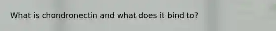 What is chondronectin and what does it bind to?