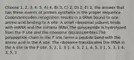 Choose 1. 2. 3. 4. 5. A) 4, B) 3, C) 2, D) 2, E) 2, the answer that has these events of protein synthesis in the proper sequence. Codon/anticodon recognition results in a tRNA bound to one amino acid binding to A site. A small ribosomal subunit binds with mRNA and the initiator tRNA.The polypeptide is hydrolyzed from the P site and the ribosome dissasssembles.The polypeptide chain in the P site forms a peptide bond with the amino acid in the A site. The ribosome translocates the tRNA in the A site to the P site. 5, 2, 1, 3 1, 4, 5, 2 1, 4, 5, 3 1, 5, 3, 1 4, 3, 5, 1