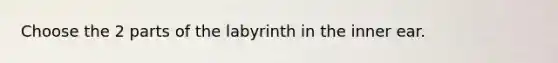 Choose the 2 parts of the labyrinth in the inner ear.