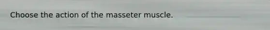 Choose the action of the masseter muscle.
