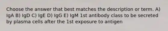 Choose the answer that best matches the description or term. A) IgA B) IgD C) IgE D) IgG E) IgM 1st antibody class to be secreted by plasma cells after the 1st exposure to antigen