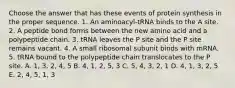 Choose the answer that has these events of protein synthesis in the proper sequence. 1. An aminoacyl-tRNA binds to the A site. 2. A peptide bond forms between the new amino acid and a polypeptide chain. 3. tRNA leaves the P site and the P site remains vacant. 4. A small ribosomal subunit binds with mRNA. 5. tRNA bound to the polypeptide chain translocates to the P site. A. 1, 3, 2, 4, 5 B. 4, 1, 2, 5, 3 C. 5, 4, 3, 2, 1 D. 4, 1, 3, 2, 5 E. 2, 4, 5, 1, 3