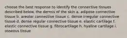 choose the best response to identify the connective tissues described below. the dermis of the skin a. adipose connective tissue b. areolar connective tissue c. dense irregular connective tissue d. dense regular connective tissue e. elastic cartilage f. elastic connective tissue g. fibrocartilage h. hyaline cartilage i. osseous tissue