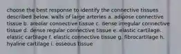 choose the best response to identify the connective tissues described below. walls of large arteries a. adipose connective tissue b. areolar connective tissue c. dense irregular connective tissue d. dense regular connective tissue e. elastic cartilage. elastic cartilage f. elastic connective tissue g. fibrocartilage h. hyaline cartilage i. osseous tissue