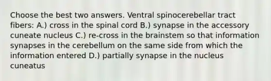 Choose the best two answers. Ventral spinocerebellar tract fibers: A.) cross in <a href='https://www.questionai.com/knowledge/kkAfzcJHuZ-the-spinal-cord' class='anchor-knowledge'>the spinal cord</a> B.) synapse in the accessory cuneate nucleus C.) re-cross in <a href='https://www.questionai.com/knowledge/kLMtJeqKp6-the-brain' class='anchor-knowledge'>the brain</a>stem so that information synapses in the cerebellum on the same side from which the information entered D.) partially synapse in the nucleus cuneatus