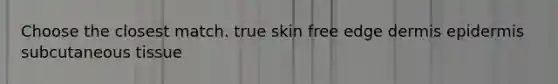 Choose the closest match. true skin free edge dermis epidermis subcutaneous tissue