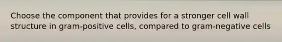 Choose the component that provides for a stronger cell wall structure in gram-positive cells, compared to gram-negative cells