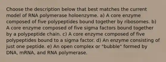 Choose the description below that best matches the current model of RNA polymerase holoenzyme. a) A core enzyme composed of five polypeptides bound together by ribosomes. b) A core enzyme composed of five sigma factors bound together by a polypeptide chain. c) A core enzyme composed of five polypeptides bound to a sigma factor. d) An enzyme consisting of just one peptide. e) An open complex or "bubble" formed by DNA, mRNA, and RNA polymerase.