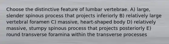 Choose the distinctive feature of lumbar vertebrae. A) large, slender spinous process that projects inferiorly B) relatively large vertebral foramen C) massive, heart-shaped body D) relatively massive, stumpy spinous process that projects posteriorly E) round transverse foramina within the transverse processes