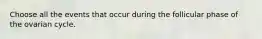 Choose all the events that occur during the follicular phase of the ovarian cycle.
