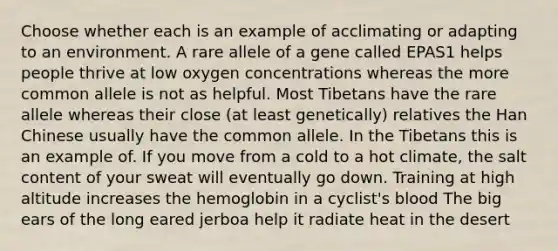 Choose whether each is an example of acclimating or adapting to an environment. A rare allele of a gene called EPAS1 helps people thrive at low oxygen concentrations whereas the more common allele is not as helpful. Most Tibetans have the rare allele whereas their close (at least genetically) relatives the Han Chinese usually have the common allele. In the Tibetans this is an example of. If you move from a cold to a hot climate, the salt content of your sweat will eventually go down. Training at high altitude increases the hemoglobin in a cyclist's blood The big ears of the long eared jerboa help it radiate heat in the desert