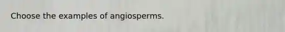 Choose the examples of angiosperms.