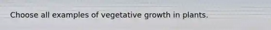 Choose all examples of vegetative growth in plants.