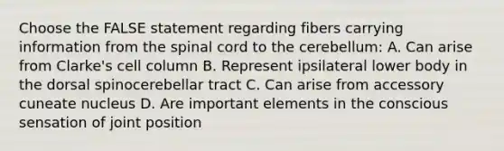 Choose the FALSE statement regarding fibers carrying information from <a href='https://www.questionai.com/knowledge/kkAfzcJHuZ-the-spinal-cord' class='anchor-knowledge'>the spinal cord</a> to the cerebellum: A. Can arise from Clarke's cell column B. Represent ipsilateral lower body in the dorsal spinocerebellar tract C. Can arise from accessory cuneate nucleus D. Are important elements in the conscious sensation of joint position