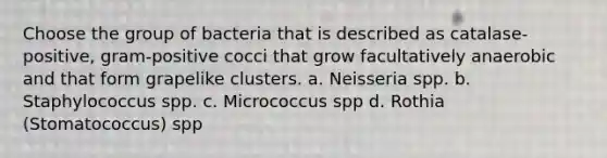 Choose the group of bacteria that is described as catalase-positive, gram-positive cocci that grow facultatively anaerobic and that form grapelike clusters. a. Neisseria spp. b. Staphylococcus spp. c. Micrococcus spp d. Rothia (Stomatococcus) spp