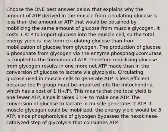 Choose the ONE best answer below that explains why the amount of ATP derived in the muscle from circulating glucose is less than the amount of ATP that would be obtained by mobilizing the same amount of glucose from muscle glycogen. It costs 1 ATP to import glucose into the muscle cell, so the total energy yield is less from circulating glucose than from mobilization of glucose from glycogen. The production of glucose 6-phosphate from glycogen via the enzyme phosphoglucomutase is coupled to the formation of ATP. Therefore mobilizing glucose from glycogen results in one more net ATP made than in the conversion of glucose to lactate via glycolysis. Circulating glucose used in muscle cells to generate ATP is less efficient because the Pi group must be imported into the mitochondria, which has a cost of 1 H+/Pi. This means that the total yield is one fewer ATP, since it takes 3 H+ to make one ATP. The conversion of glucose to lactate in muscle generates 2 ATP. If muscle glycogen could be mobilized, the energy yield would be 3 ATP, since phosphorolysis of glycogen bypasses the hexokinase-catalyzed step of glycolysis that consumes ATP.