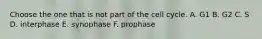 Choose the one that is not part of the cell cycle. A. G1 B. G2 C. S D. interphase E. synophase F. prophase