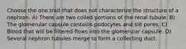 Choose the one trait that does not characterize the structure of a nephron. A) There are two coiled portions of the renal tubule. B) The glomerular capsule contains podocytes and slit pores. C) Blood that will be filtered flows into the glomerular capsule. D) Several nephron tubules merge to form a collecting duct.