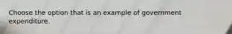 Choose the option that is an example of government expenditure.