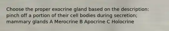 Choose the proper exocrine gland based on the description: pinch off a portion of their cell bodies during secretion; mammary glands A Merocrine B Apocrine C Holocrine