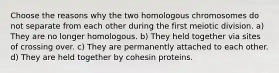 Choose the reasons why the two homologous chromosomes do not separate from each other during the first meiotic division. a) They are no longer homologous. b) They held together via sites of crossing over. c) They are permanently attached to each other. d) They are held together by cohesin proteins.