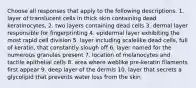 Choose all responses that apply to the following descriptions. 1. layer of translucent cells in thick skin containing dead keratinocytes. 2. two layers containing dead cells 3. dermal layer responsible for fingerprinting 4. epidermal layer exhibiting the most rapid cell division 5. layer including scalelike dead cells, full of keratin, that constantly slough off 6. layer named for the numerous granules present 7. location of melanocytes and tactile epithelial cells 8. area where weblike pre-keratin filaments first appear 9. deep layer of the dermis 10. layer that secrets a glycolipid that prevents water loss from the skin