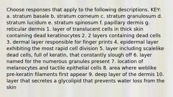 Choose responses that apply to the following descriptions. KEY: a. stratum basale b. stratum corneum c. stratum granulosum d. stratum lucidum e. stratum spinosum f. papillary dermis g. reticular dermis 1. layer of translucent cells in thick skin containing dead keratinocytes 2. 2 layers containing dead cells 3. dermal layer responsible for finger prints 4. epidermal layer exhibiting the most rapid cell division 5. layer including scalelike dead cells, full of keratin, that constantly slough off 6. layer named for the numerous granules present 7. location of melanocytes and tactile epithelial cells 8. area where weblike pre-keratin filaments first appear 9. deep layer of the dermis 10. layer that secretes a glycolipid that prevents water loss from the skin