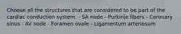Choose all the structures that are considered to be part of the cardiac conduction system. - SA node - Purkinje fibers - Coronary sinus - AV node - Foramen ovale - Ligamentum arteriosum