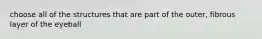 choose all of the structures that are part of the outer, fibrous layer of the eyeball