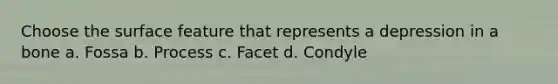 Choose the surface feature that represents a depression in a bone a. Fossa b. Process c. Facet d. Condyle