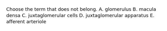 Choose the term that does not belong. A. glomerulus B. macula densa C. juxtaglomerular cells D. juxtaglomerular apparatus E. afferent arteriole