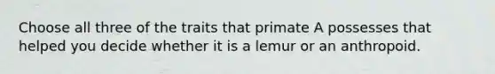 Choose all three of the traits that primate A possesses that helped you decide whether it is a lemur or an anthropoid.