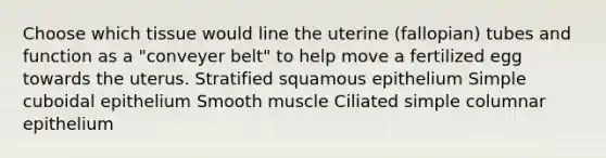 Choose which tissue would line the uterine (fallopian) tubes and function as a "conveyer belt" to help move a fertilized egg towards the uterus. Stratified squamous epithelium Simple cuboidal epithelium Smooth muscle Ciliated simple columnar epithelium