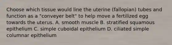 Choose which tissue would line the uterine (fallopian) tubes and function as a "conveyer belt" to help move a fertilized egg towards the uterus. A. smooth muscle B. stratified squamous epithelium C. simple cuboidal epithelium D. ciliated simple columnar epithelium