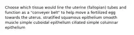 Choose which tissue would line the uterine (fallopian) tubes and function as a "conveyer belt" to help move a fertilized egg towards the uterus. stratified squamous epithelium smooth muscle simple cuboidal epithelium ciliated simple columnar epithelium