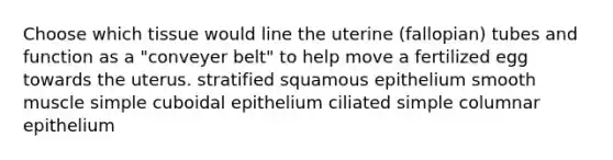 Choose which tissue would line the uterine (fallopian) tubes and function as a "conveyer belt" to help move a fertilized egg towards the uterus. stratified squamous epithelium smooth muscle simple cuboidal epithelium ciliated simple columnar epithelium