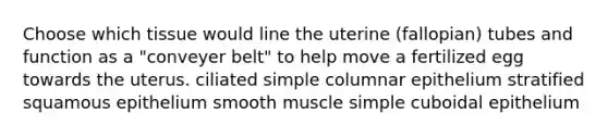 Choose which tissue would line the uterine (fallopian) tubes and function as a "conveyer belt" to help move a fertilized egg towards the uterus. ciliated simple columnar epithelium stratified squamous epithelium smooth muscle simple cuboidal epithelium