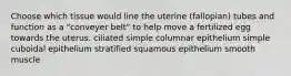 Choose which tissue would line the uterine (fallopian) tubes and function as a "conveyer belt" to help move a fertilized egg towards the uterus. ciliated simple columnar epithelium simple cuboidal epithelium stratified squamous epithelium smooth muscle