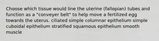 Choose which tissue would line the uterine (fallopian) tubes and function as a "conveyer belt" to help move a fertilized egg towards the uterus. ciliated simple columnar epithelium simple cuboidal epithelium stratified squamous epithelium smooth muscle