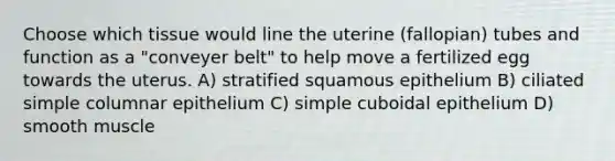 Choose which tissue would line the uterine (fallopian) tubes and function as a "conveyer belt" to help move a fertilized egg towards the uterus. A) stratified squamous epithelium B) ciliated simple columnar epithelium C) simple cuboidal epithelium D) smooth muscle