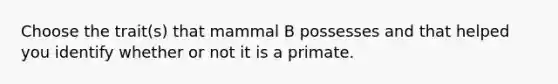 Choose the trait(s) that mammal B possesses and that helped you identify whether or not it is a primate.