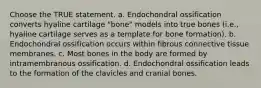 Choose the TRUE statement. a. Endochondral ossification converts hyaline cartilage "bone" models into true bones (i.e., hyaline cartilage serves as a template for bone formation). b. Endochondral ossification occurs within fibrous connective tissue membranes. c. Most bones in the body are formed by intramembranous ossification. d. Endochondral ossification leads to the formation of the clavicles and cranial bones.