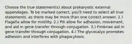 Choose the true statement(s) about prokaryotic external appendages. To be marked correct, you'll need to select all true statements, as there may be more than one correct answer. 1.) Flagella allow for motility. 2.) Pili allow for adhesion, movement, and aid in gene transfer through conjugation. 3.) Fimbriae aid in gene transfer through conjugation. 4.) The glycocalyx promotes adhesion and interferes with phagocytosis.