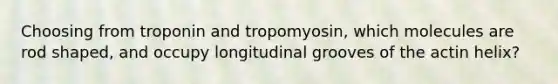 Choosing from troponin and tropomyosin, which molecules are rod shaped, and occupy longitudinal grooves of the actin helix?