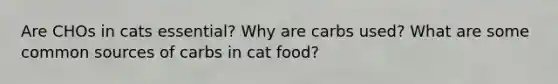 Are CHOs in cats essential? Why are carbs used? What are some common sources of carbs in cat food?