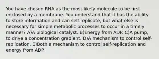 You have chosen RNA as the most likely molecule to be first enclosed by a membrane. You understand that it has the ability to store information and can self-replicate, but what else is necessary for simple metabolic processes to occur in a timely manner? A)A biological catalyst. B)Energy from ADP. C)A pump, to drive a concentration gradient. D)A mechanism to control self-replication. E)Both a mechanism to control self-replication and energy from ADP.