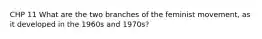 CHP 11 What are the two branches of the feminist movement, as it developed in the 1960s and 1970s?