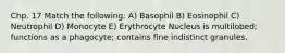 Chp. 17 Match the following: A) Basophil B) Eosinophil C) Neutrophil D) Monocyte E) Erythrocyte Nucleus is multilobed; functions as a phagocyte; contains fine indistinct granules.